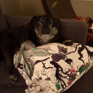 Meet your Posher, Mari